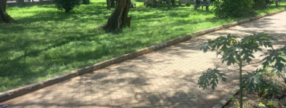 Oile Park Kisumu Travel Forum Reviews