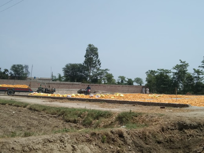 Okara