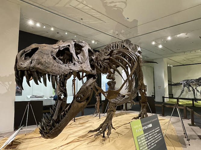 Okayama City Museum