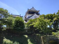 Okazakijo Park Travel Forum Reviews