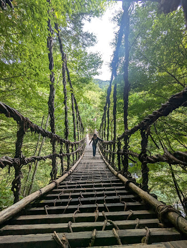 Oku-Iya Double Vine Bridge