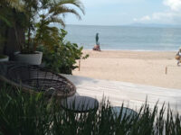 Olas Altas Travel Forum Reviews