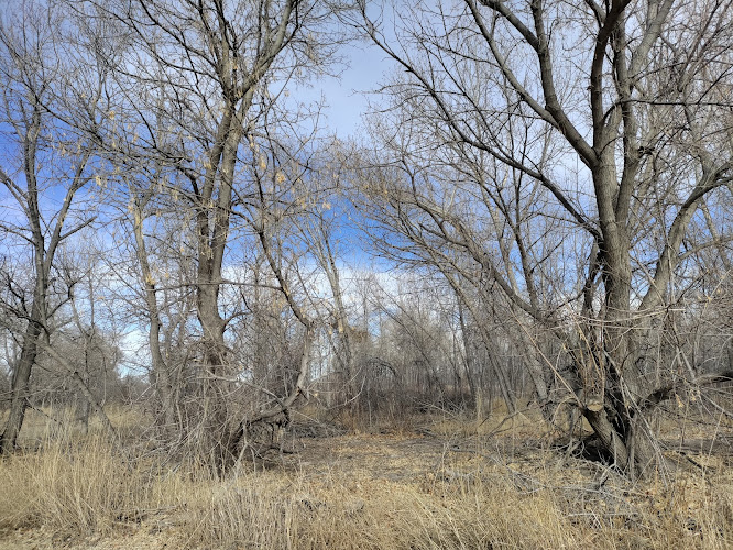 Old Fort Collins Heritage Park