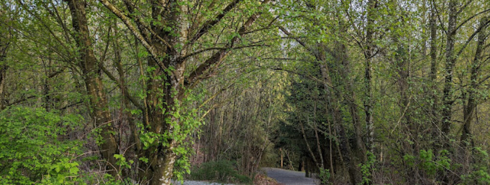 Old Riverside Park Travel Forum Reviews