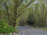 Old Riverside Park Travel Forum Reviews