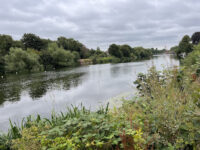 Old Slipway Park Travel Forum Reviews