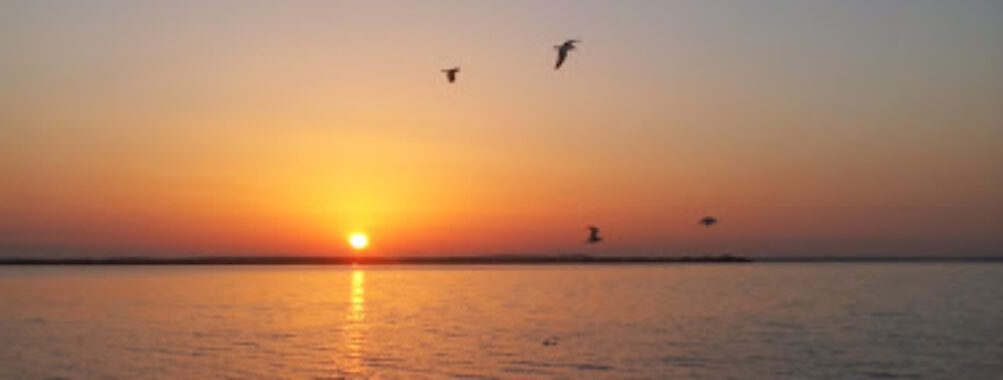 Old Umm Al Quwain Travel Forum Reviews