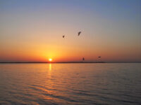 Old Umm Al Quwain Travel Forum Reviews