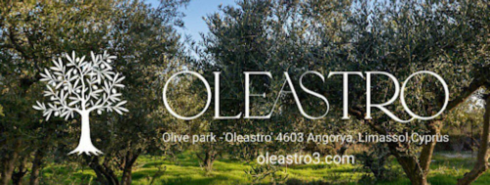 Oleastro Olive Park mill museum Travel Forum Reviews