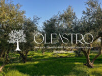 Oleastro Olive Park mill museum Travel Forum Reviews
