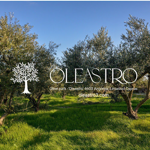 Oleastro Olive Park mill museum