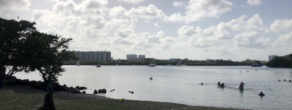 Oleta River State Park Alligator Pavilion Travel Forum Reviews