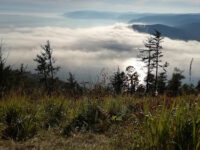 Olimpiyskiy Park Travel Forum Reviews
