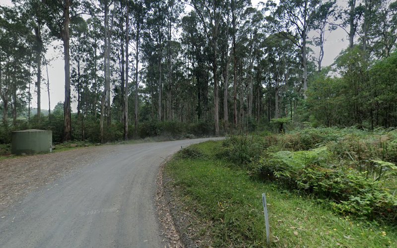 Olinda Creek Road Scenery