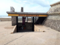 Olmeca Archaeological Museum Travel Forum Reviews