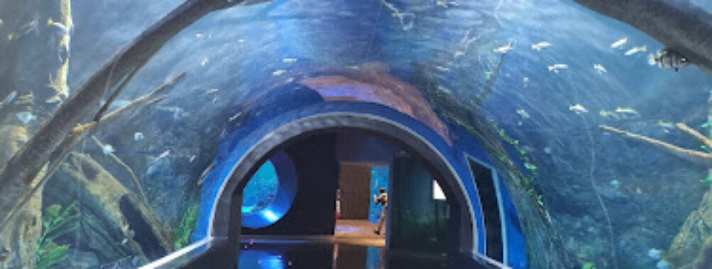 Oman Aquarium Travel Forum Reviews