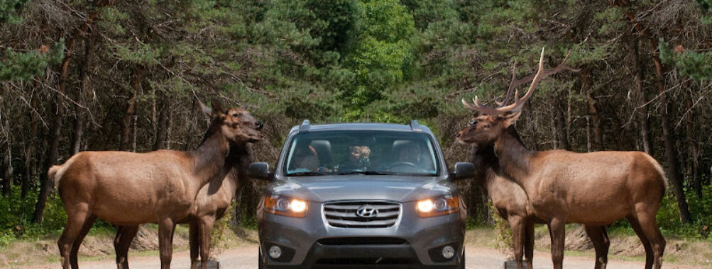 Omega Park Travel Forum Reviews