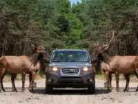 Omega Park Travel Forum Reviews