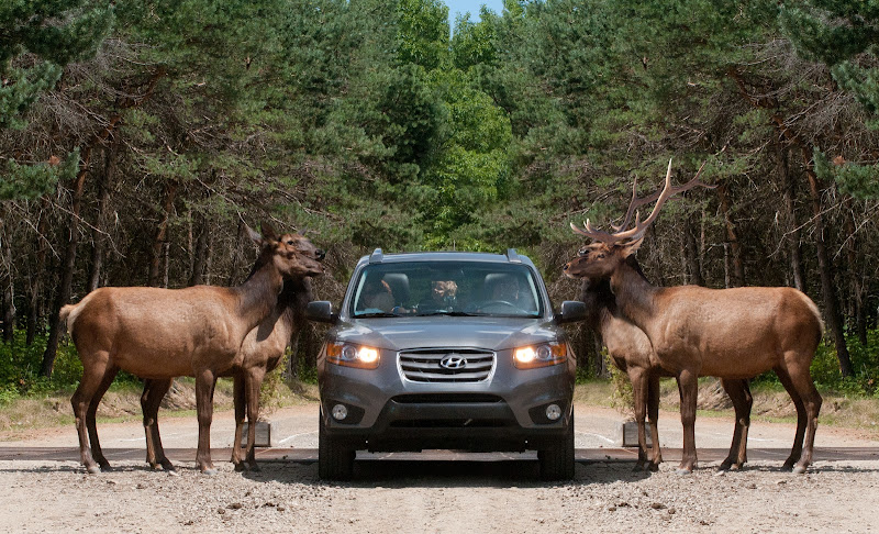 Omega Park