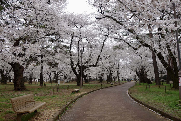 Omiya Park