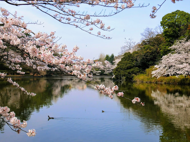 Omiya Park Zoo