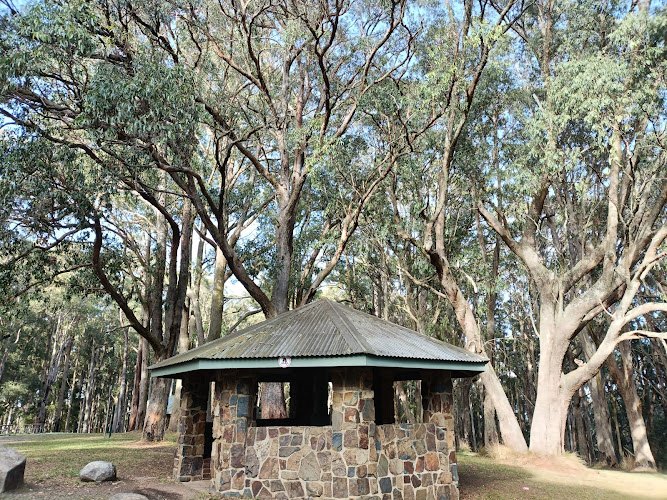 One Tree Hill Picnic Ground