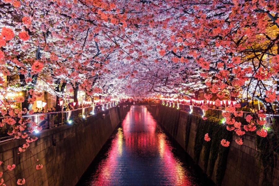 One-day private minibus tour to Takachiho from Fukuoka Review