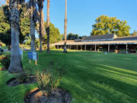 Oppenheimer Park Golf Club Travel Forum Reviews