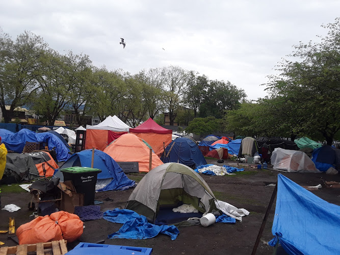 Oppenheimer Park