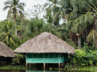 Orinoco Delta Lodge Travel Forum Reviews