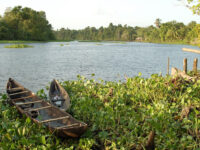 Orinoco delta Travel Forum Reviews
