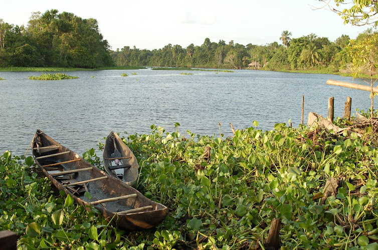 Orinoco delta