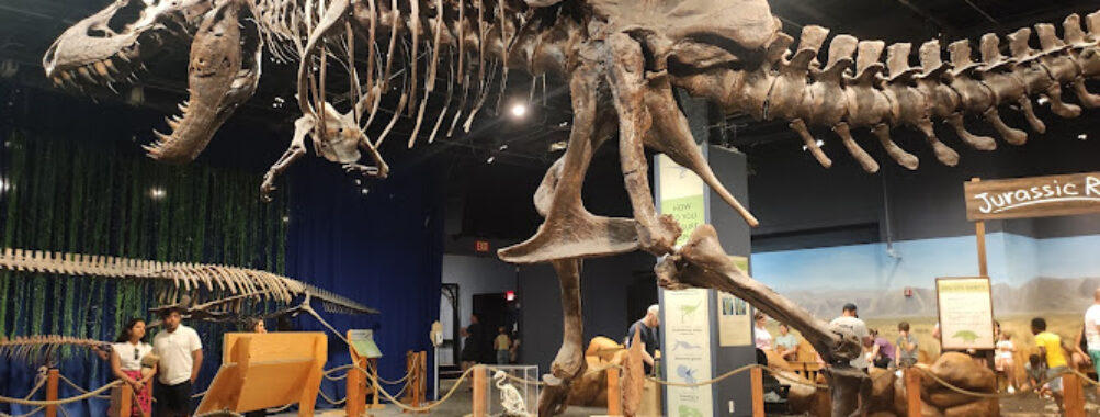 Orlando Science Center Travel Forum Reviews