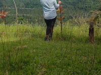 Oro Extreme Adventure Zipline Travel Forum Reviews