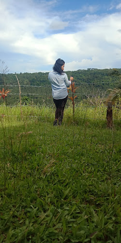 Oro Extreme Adventure Zipline