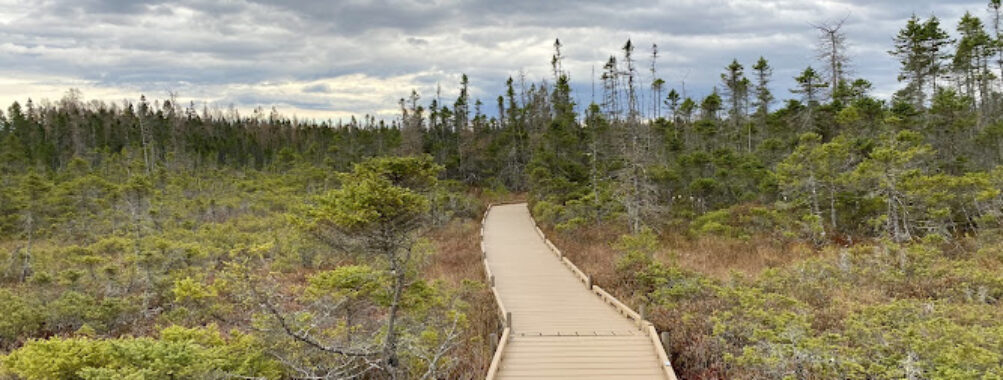 Orono Bog Boardwalk Travel Forum Reviews