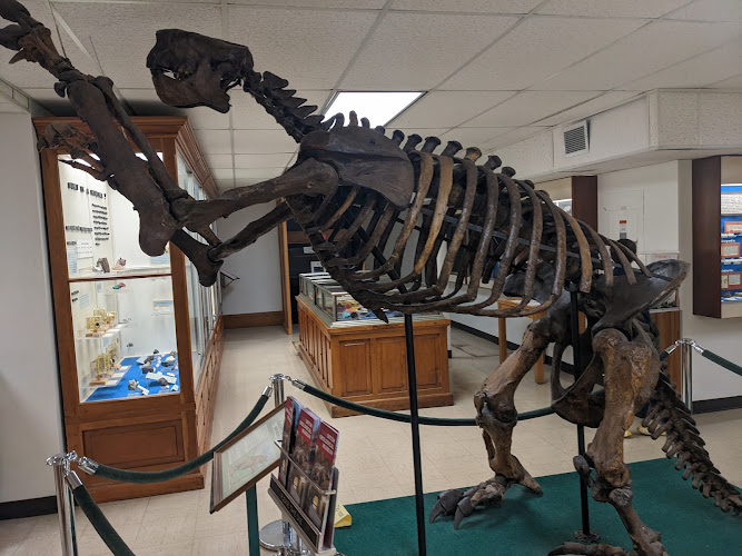 Orton Geological Museum