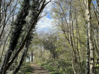 Orwell Country Park Travel Forum Reviews