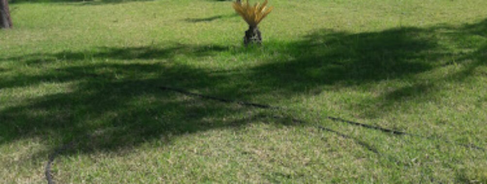 Oshakati Recreational park Travel Forum Reviews