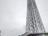 Oshinari Park Travel Forum Reviews