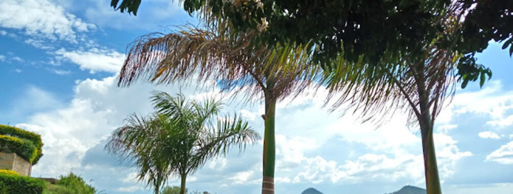Osiri Beach Resort and Adventures Travel Forum Reviews