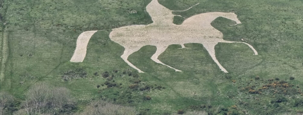Osmington White Horse Travel Forum Reviews