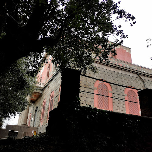 Osservatorio Vulcanologico Vesuviano - INGV
