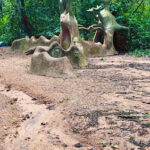 Osun-Osogbo Sacred Grove park and Gardens