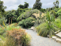 Otari-Wilton's Bush Travel Forum Reviews