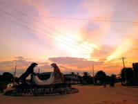 Otorongo Roundabout Travel Forum Reviews