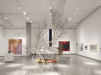 Ottawa Art Gallery Travel Forum Reviews