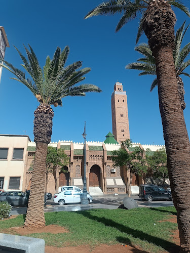 Oued Nachef