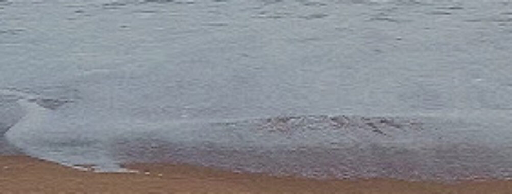 Ouidah plage Bénin Travel Forum Reviews