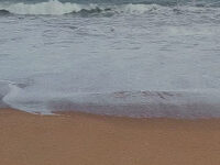 Ouidah plage Bénin Travel Forum Reviews